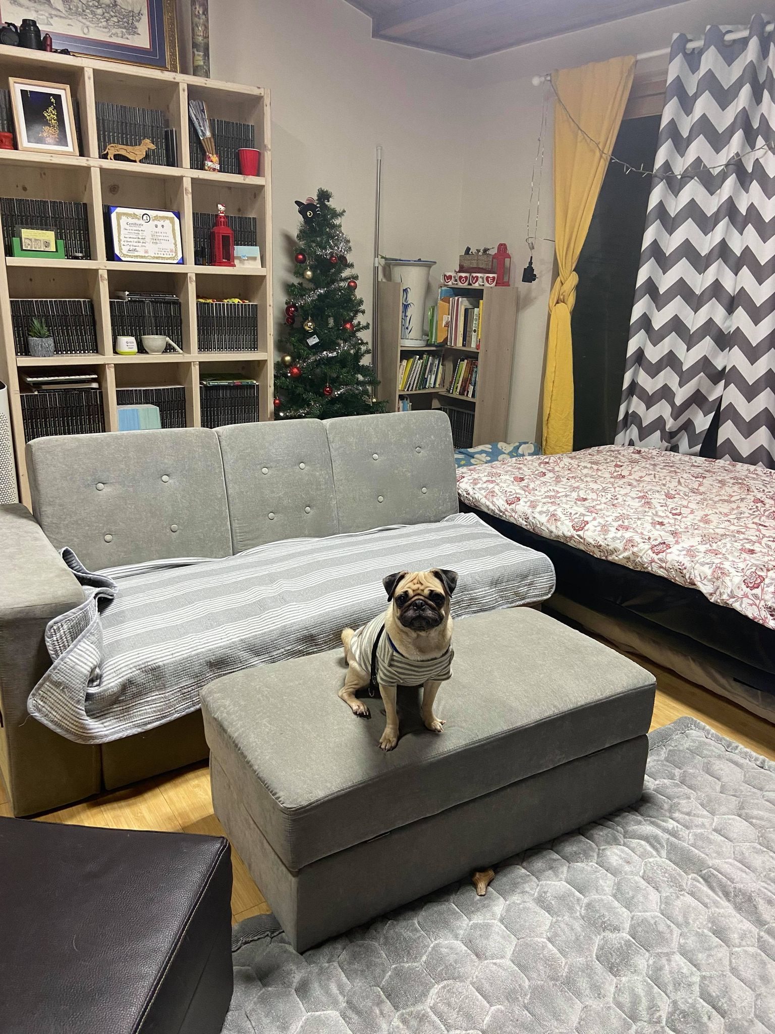 Apartment after hiring a housekeeper