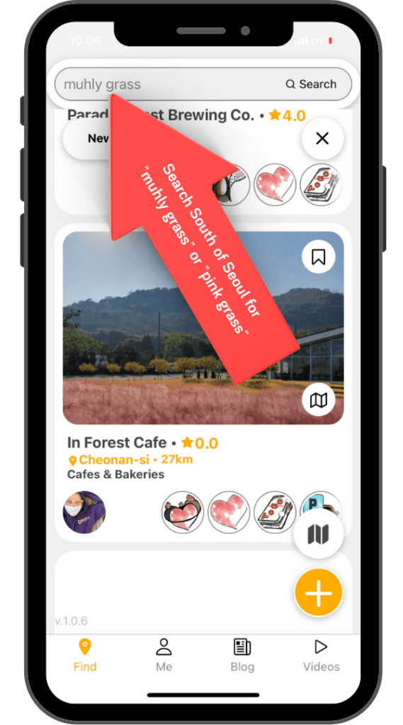 Search for Muhly grass on instagram