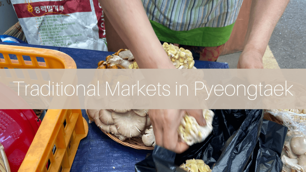 Traditional markets in Pyeongtaek