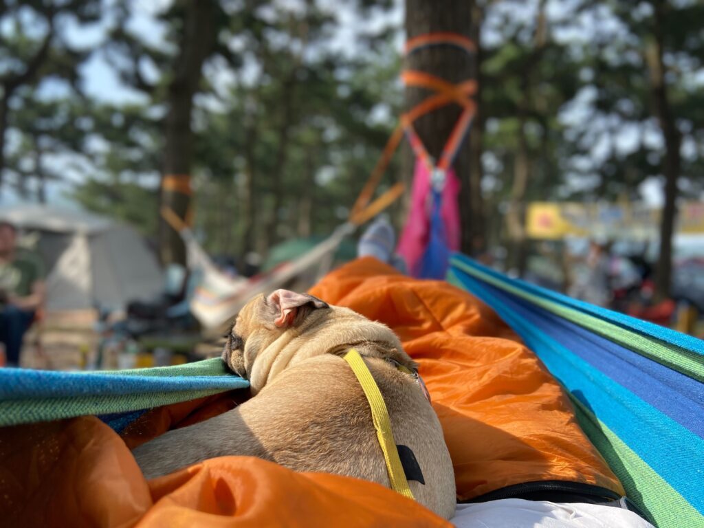 Camping for Hangul Day