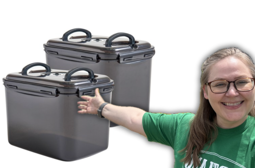 Food Safety and Kimchi Storage